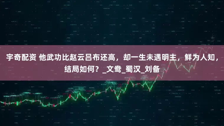宇奇配资 他武功比赵云吕布还高，却一生未遇明主，鲜为人知，结局如何？_文鸯_蜀汉_刘备