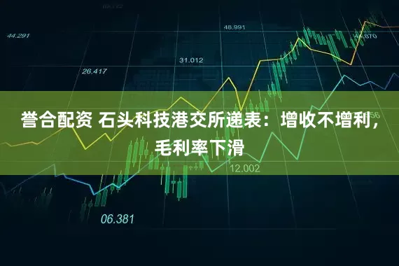誉合配资 石头科技港交所递表：增收不增利，毛利率下滑