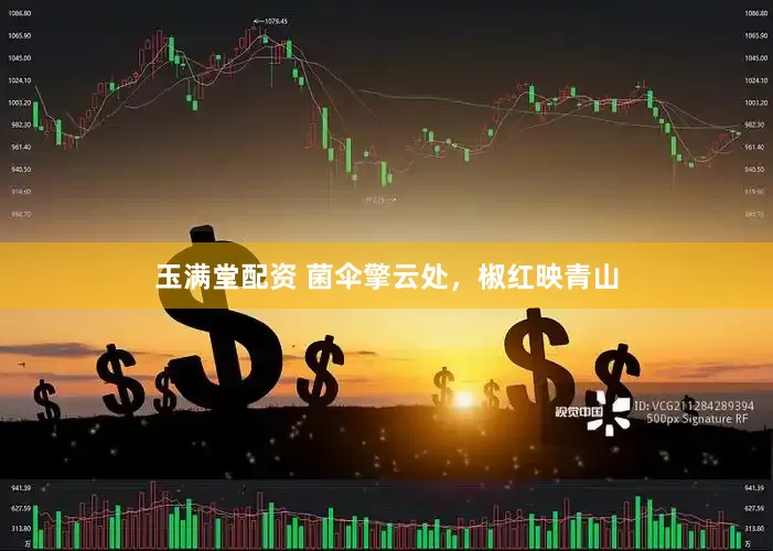 玉满堂配资 菌伞擎云处，椒红映青山