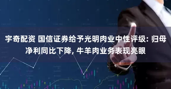 宇奇配资 国信证券给予光明肉业中性评级: 归母净利同比下降, 牛羊肉业务表现亮眼